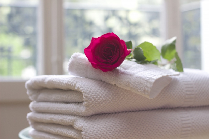 chambre-hote-COLOMARS-min_towel_rose_clean_care_salon_spa_white_bath-731641